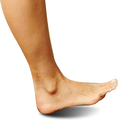gait_cycle_for_revere_web_page_4_1_1 - Revere Shoes